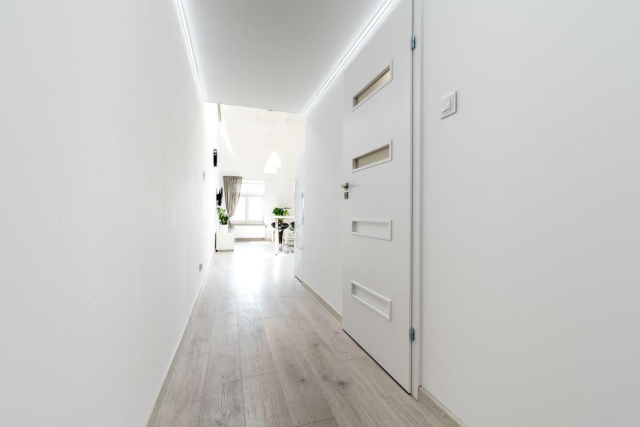 Panorama Twin Loft Superior Διαμέρισμα Πόζναν Εξωτερικό φωτογραφία
